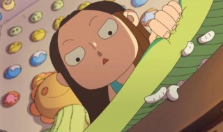 白虫的养殖方法（白虫的养殖方法和注意事项）