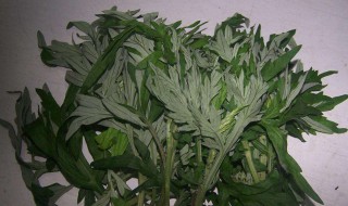 艾叶干燥方法（艾叶怎么干燥,可以晒太阳吗）