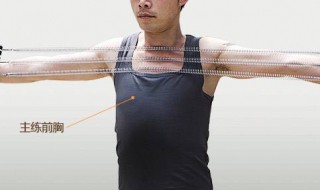 拉力器的锻炼方法 拉力器的锻炼方法视频完整版
