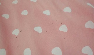 床上快速找到跳蚤的方法（床上有跳蚤怎么清除）