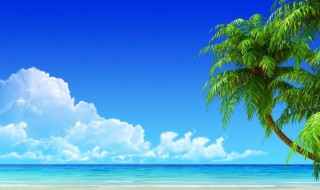 除臭虫最简单的方法 解决臭虫最有效最直接的方法