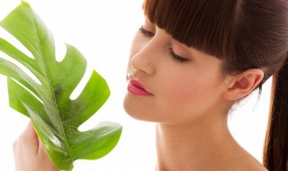 植物标本制作方法（植物标本制作方法简单）