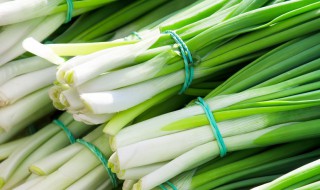 香葱的种植方法和时间 香葱的种植方法和时间视频