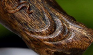 沉香木鉴别方法（沉香最简单的鉴别方法沉水）