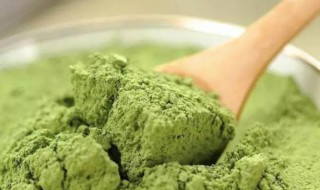 桑叶粉的功效与作用及食用方法 桑叶泡水喝竟有6个害处