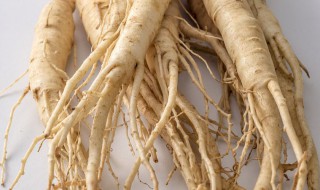 西洋参有什么的功效 西洋参有什幺功效