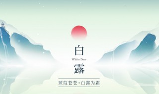 白露过后可以种什么蔬菜 白露过后可以种什么蔬菜呢