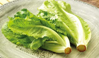 生菜吃多了有什么危害（生菜吃多了有什么危害生菜里有草酸吗）