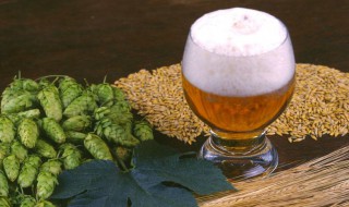 喝啤酒好吗 经常喝啤酒好吗