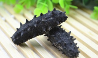 海参怎么保存方法（干海参的最佳保存方法）