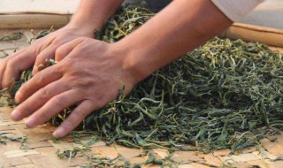 生普洱怎么保存好 生普洱怎么保存方法