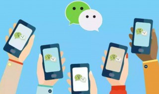 微信怎么改性别 王者微信怎么改性别