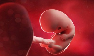 正确的孕周计算方法（正确的孕周计算方法图片）