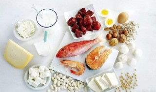 蛋白质食物（蛋白质食物一览表）