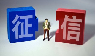 如何查询自已的征信（如何查询自已的征信信息）