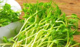 无须豌豆苗种植方法（无须豌豆苗怎么种）