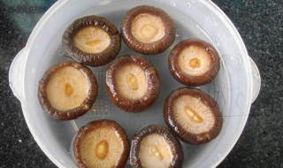 快速浸泡香菇的方法（如何快速浸泡香菇）