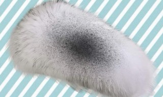 毛领脱毛怎么处理（毛领脱毛严重）