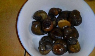 怎么做抓河螺神器（捞河螺的工具）