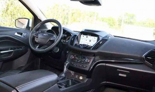 车内进苍蝇怎么处理（车内进苍蝇怎么处理干净）