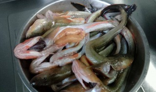 粘鱼怎么处理怎么做 黏鱼怎么处理