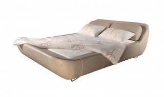 皮床生小虫怎么处理（皮床生小虫怎么处理掉）