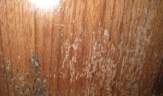 木制家具容易发霉怎么处理（木制家具发霉如何处理）