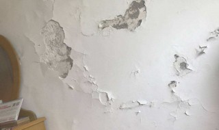 墙壁上的石灰怎么处理 墙上的石灰有毒吗