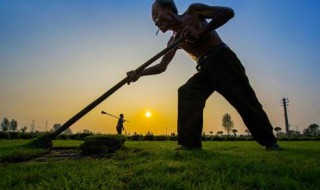 小草用什么方法除掉（小草怎样）