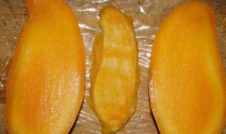 芒果种子怎么处理发芽 芒果种子怎么处理发芽的