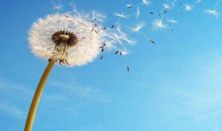 正能量语录集 正能量语录集积极向上