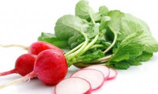 红萝卜种植时间和方法 南方红萝卜种植时间和方法