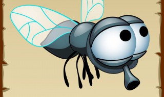 驱蚊草真的能驱蚊吗（碰碰香驱蚊草真的能驱蚊吗）