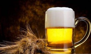 戒啤酒的最好方法 戒掉啤酒的好方法