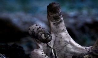 历史上真实的丧尸事件（世界真实丧尸事件）