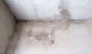 墙角发霉烂了怎么处理 墙角发霉了还能住人吗