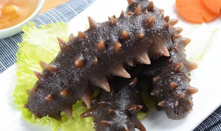 鲜冻的海参怎么处理 鲜冻的海参怎么处理好吃