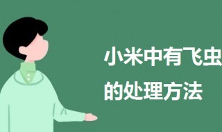 小米中有飞虫怎么处理 小米里面有小飞虫子还能吃吗