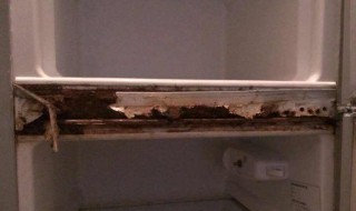 冰箱门有锈迹怎么处理（冰箱门有锈迹怎么处理干净）