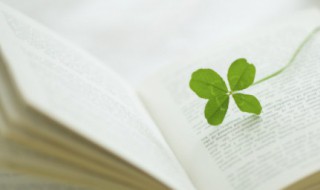 美到窒息的古风句子（美到窒息的古风句子简短）