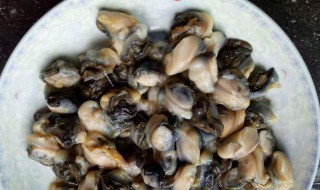 大田螺怎么快速处理干净 大田螺怎么快速处理干净视频