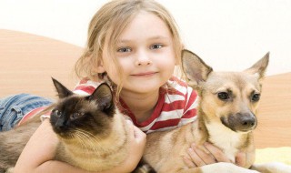 女孩姓名大全 女孩姓名大全 参考