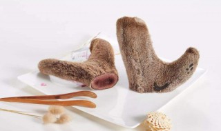 鹿茸怎么处理才不会变质（鹿茸处理方法）