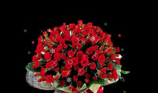 给女朋友买什么礼物好（热天给女朋友买什么礼物好）