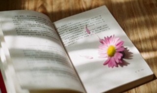团结的句子励志（单位团结的句子励志）