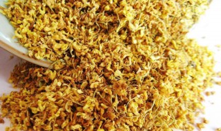 桂花酒的功效与作用（桂花酒的功效与作用及食用禁忌）