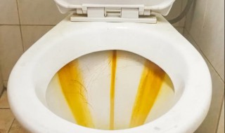 马桶壁污垢怎么去除（马桶壁上的垢怎么去除）