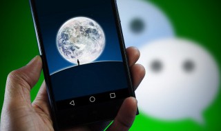 名称大全微信（取名字大全免费查询）