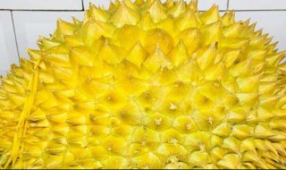 怎样挑榴莲 怎样挑榴莲的简单方法