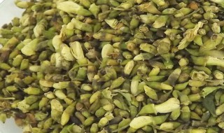 槐花茶的制作方法 槐花茶的制作方法烤箱
